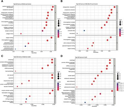 The role of metabolic memory in diabetic kidney disease: identification of key genes and therapeutic targets